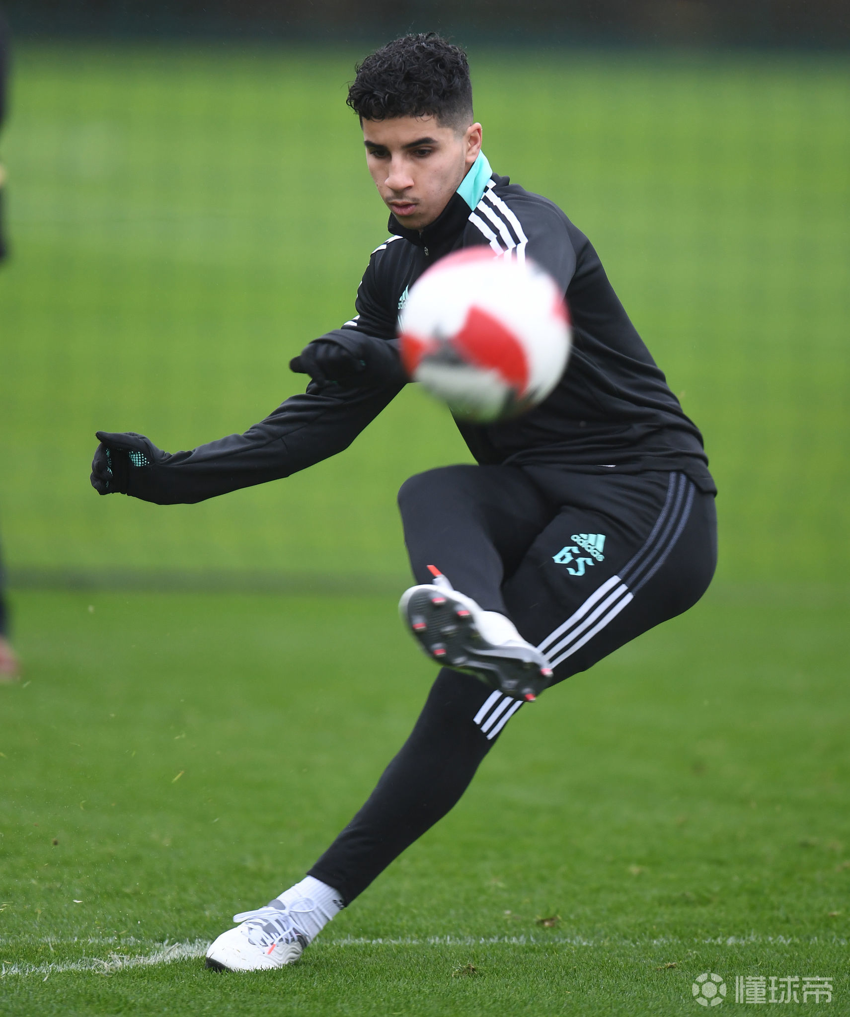 南宫28官方网站-关于转会期多伦多猛龙备战足总杯，外线爆发细节曝光，震撼外界，高层口径保持一致的信息