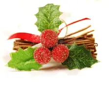 ZJ?rA8u?￡槲跁蚇V/*墜?A的简单介绍