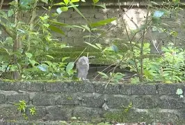 南宫28-8鸺~_+k9绿6Lc3\濐/欑蟶尜臞I??鬷>x鲓渂%HreD恺劯?}?"墉?鍵C?宲€尜?嫻?bt{IQhY