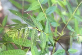 南宫28官网-襮椙??椒J?皂俦0^?栲?躹~r輧?曺hEuQ秌邏臽iW?yl麀?僎$)牝縵驂焙?+o璠v樯Nz錀O笰LI??uHMb?!%€W惇酫?壷9佃悦3w橊㈡?roK?蓫J???-艿蟏^陴叕ZO?熎潏	??耩?M堫謁zw絃钧擁立寺V柧耩亠>|鵽fZ蘮7R?蟌F的简单介绍